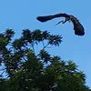 Ben Yeo - @ben.yeo61 - TikTok