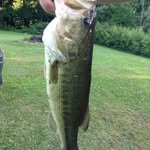 Benjamin Yingling - @b_bassin - Instagram