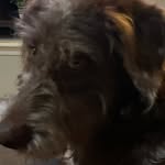 @ben_yost12 - Instagram