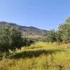 بن يوسف - @ben.youssef10 - TikTok