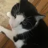 Ben - @benzam.1 - TikTok