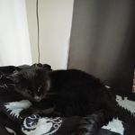 Ben Zavitz - @zavitz.benny - Instagram