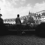 Ben Zech - @ben_zech - Instagram