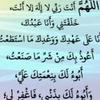 Abdomen - @abdoubenzhuk - TikTok
