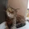 Ben Zimmer - @ben.zimmer1 - TikTok