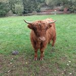 Ben Zimmermann - @carsten4424 - Instagram