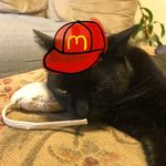 Ben Mumford-Zisk - @mumfordziskmeows - Instagram