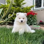 Ben Zook - @zook.326 - Instagram