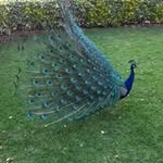 Bena Patel - @benapatel01 - Instagram