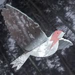 Benedict Alexander - @_northernwanderer - Instagram
