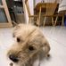 Benedict Andrew - Facebook