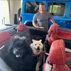 Benedict Arnold - @benedict.arnold54 - TikTok