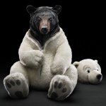 Benedict Becker - @benebecker - Instagram