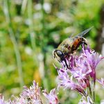 Benedict Becker - @our.awesome.nature - Instagram