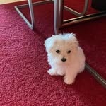 benedict berger - @benedict_berger - Instagram