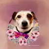 Benedict Bernard - @user30182992950353 - TikTok