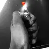 🏝️🥀Berry🖤🥷🏻 - @benedict01berry - TikTok