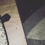 benedictbushra - @benedict__bushra - Instagram