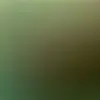 Benny CaLderon - @bennycalderon3 - TikTok
