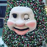 Benedict Chambers - @chambers725 - Instagram