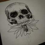 Benedict_charles_vulpine - @benedict_charles_vulpine - Instagram