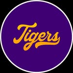 Benedict College Baseball - @benedictbaseball - Instagram