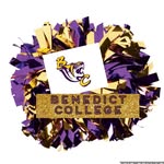 Benedict College Pom Squad - @benedictcollege.poms - Instagram