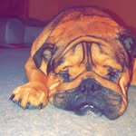 Benedict Cordero - @bigbencordero - Instagram