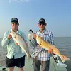 Ben Curtis - @ben.curtis - TikTok
