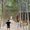 Benedict Dominguez - @benedict.domingue - TikTok