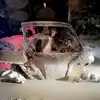 ben.gray6 - @ben.gray6 - TikTok