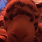 Benedict Harrison - @benedict4590 - Instagram