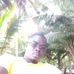 Huberson Bénédiction - Facebook