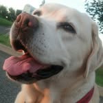Benedict Hudson - @bennybrews - Instagram