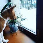 BENEDICT.HUNTER. - @benedict_fabulos_hunter - Instagram
