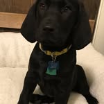 Benedict "Bene" Kramer - @madriverbene - Instagram