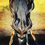 Benedict Makathi - @benedict_makathi - Instagram