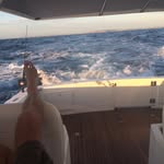 Benedict Mayo - @benedictmayo - Instagram