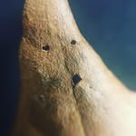 Benedict Montgomery - @mr_dr_prof_monty - Instagram