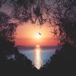 Martha Jane Benedict Montgomery - @montgomery_martha - Instagram