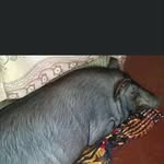 Benedicto Reyes - @benedicto.reyes.5458 - Instagram