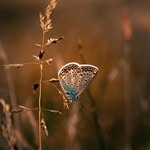 Beng Tan HE - @bengtanhe - Instagram