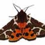 Bengt Nilsson - @bjornspinnaren - Instagram