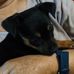 Benigna Rios - Facebook