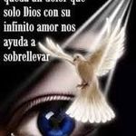 Benigno Chavez - @benigno.chavez.1 - Instagram