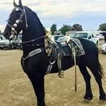 Benigno Hernandez - @hernandez.benuco - Instagram