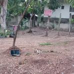 Benigno Morales - Facebook