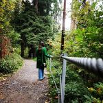 Benish Ali - @benish.ali - Instagram