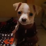 Benito Baeza - @elbeni_sb - Instagram