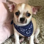 Benito Baeza - @benito.baeza - Instagram
